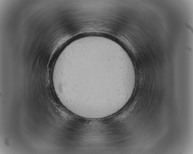 X0000096480974200802211210