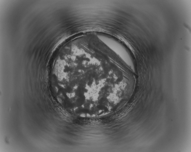 X0000096480975200802211210