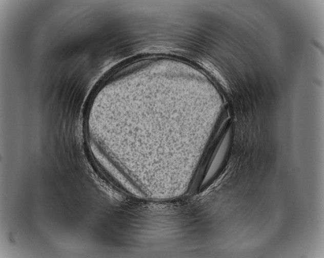 X0000096480976200802211210
