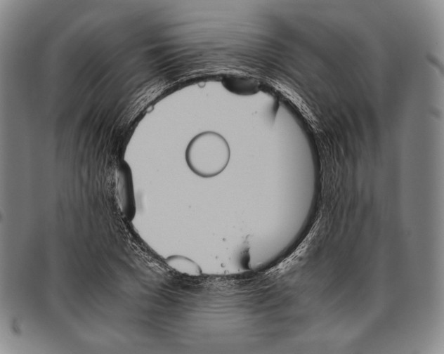 X0000096480977200802211210