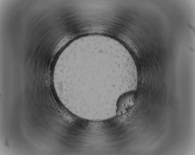 X0000096480978200802211210