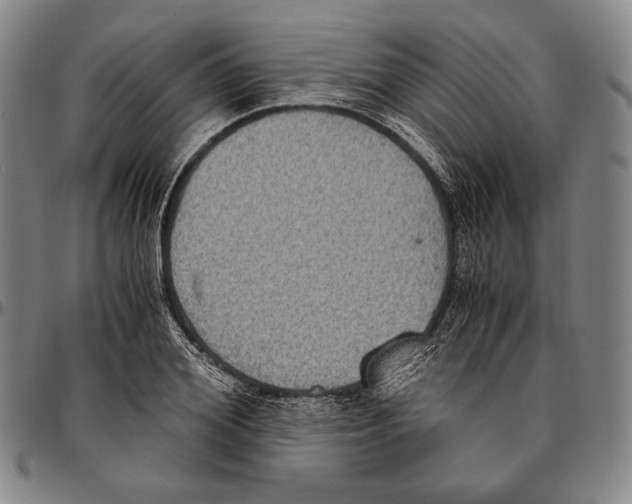 X0000096480980200802211210