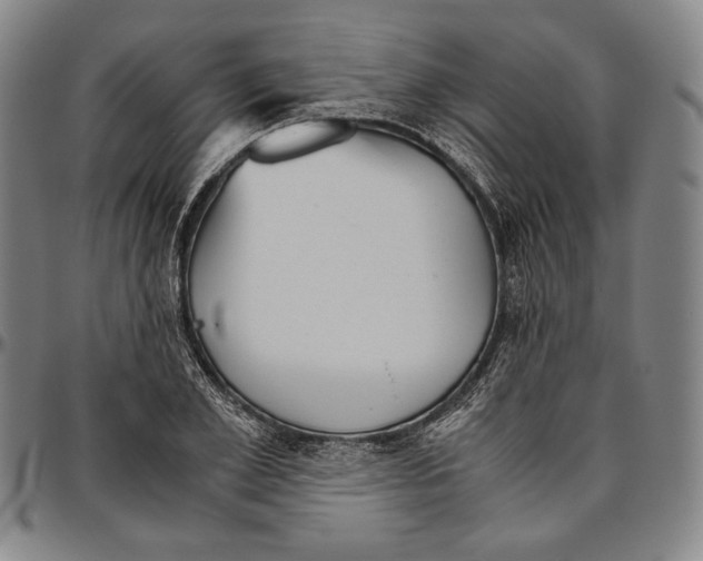 X0000096480981200802211210