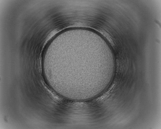 X0000096480982200802211210