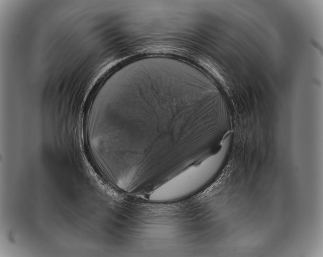 X0000096480984200802211210