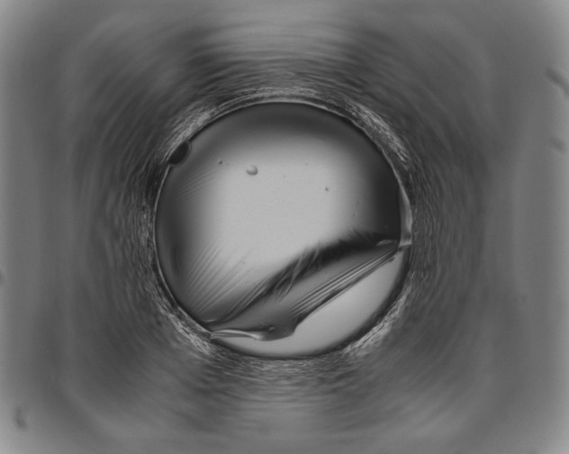 X0000096480985200802211210