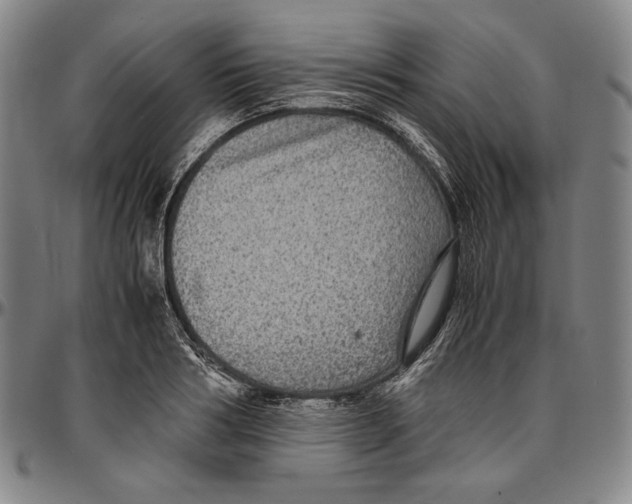 X0000096480986200802211210