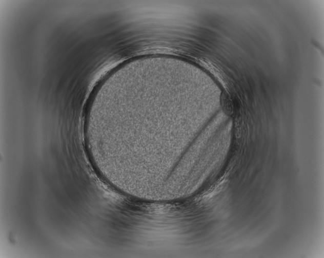 X0000096480987200802211210