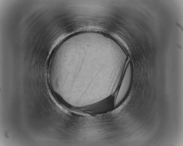X0000096480989200802211210