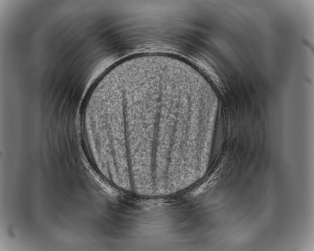 X0000096480990200802211210