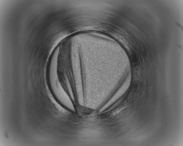 X0000096480991200802211210