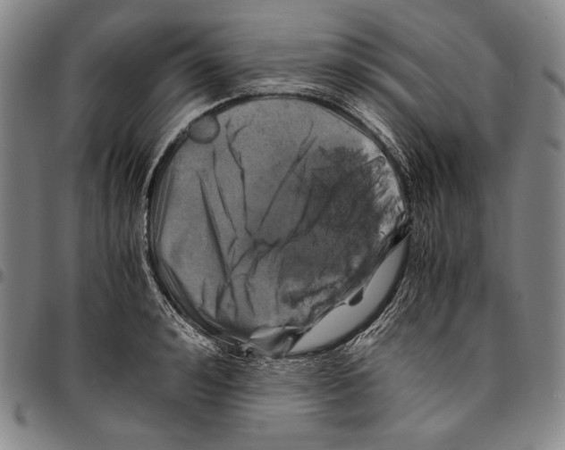 X0000096480992200802211210