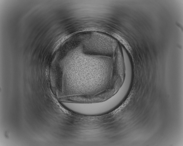 X0000096480993200802211210