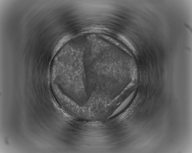 X0000096480994200802211210