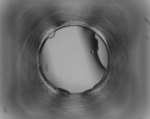 X0000096480997200802211210