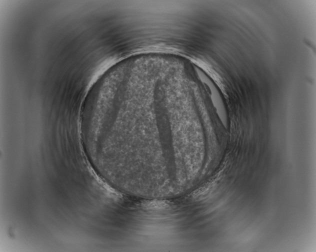 X0000096480998200802211210