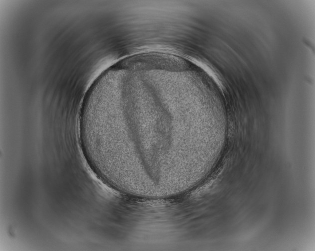 X0000096480999200802211210