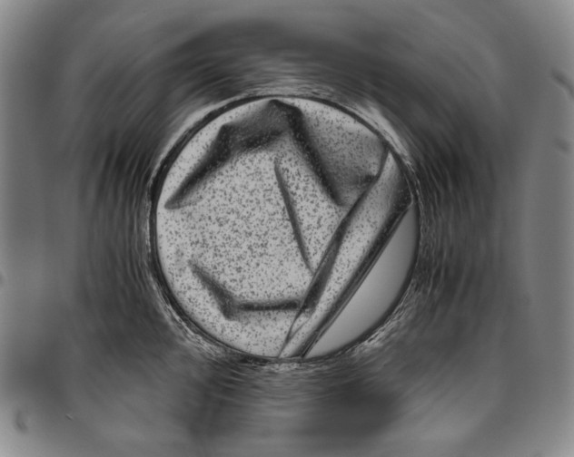 X0000096481000200802211210