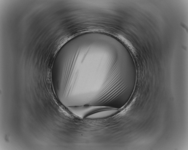 X0000096481001200802211210
