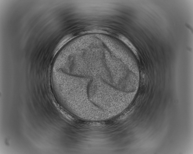 X0000096481002200802211210