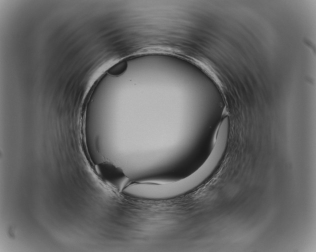 X0000096481003200802211210