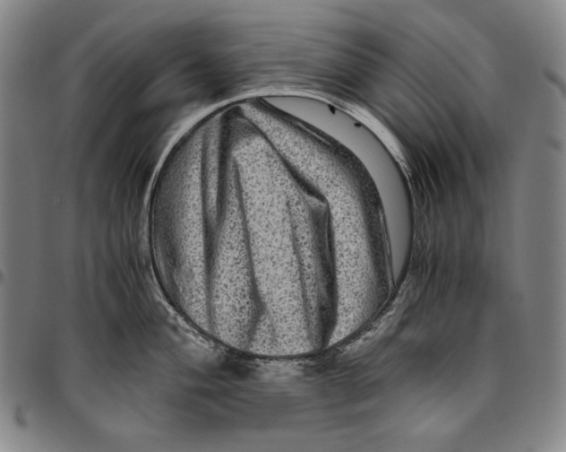 X0000096481004200802211210
