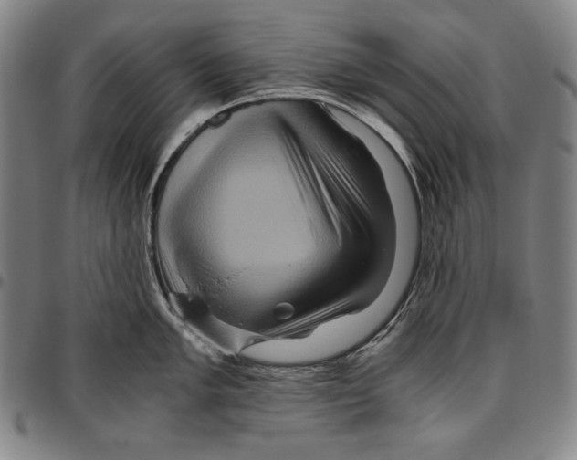 X0000096481005200802211210