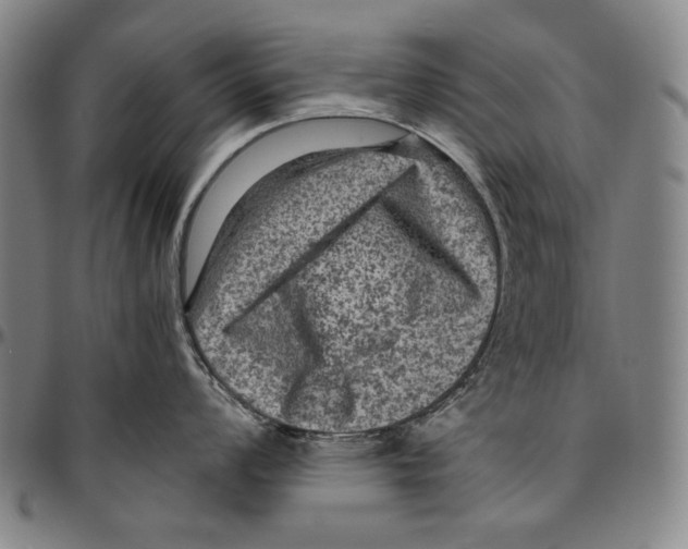 X0000096481008200802211210