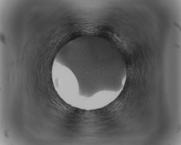 X0000096481009200802211209