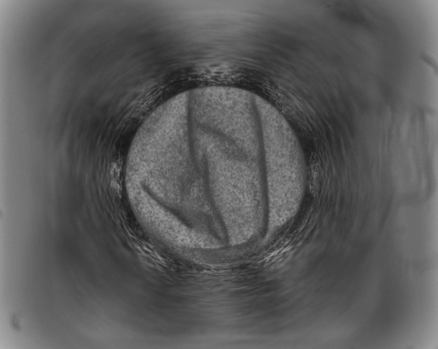 X0000096481010200802211209