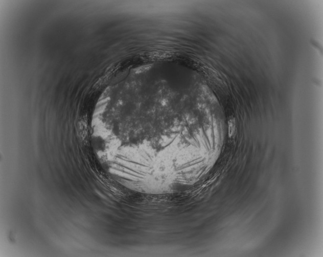 X0000096481011200802211209