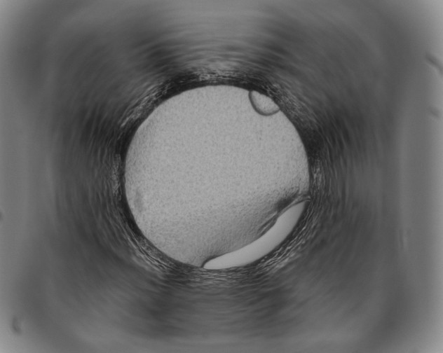 X0000096481012200802211209