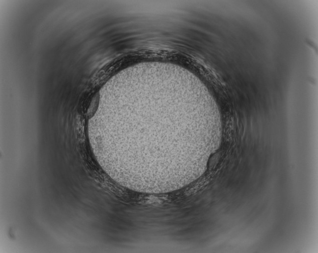 X0000096481013200802211209