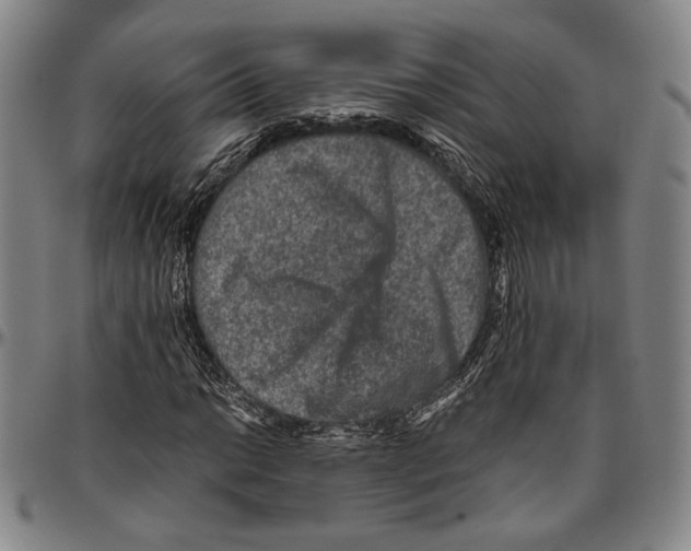 X0000096481014200802211209