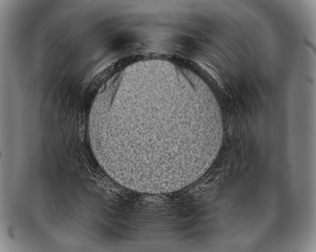 X0000096481015200802211209