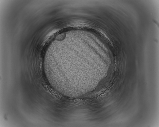 X0000096481016200802211209