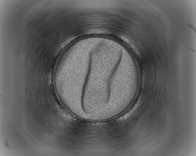 X0000096481017200802211209