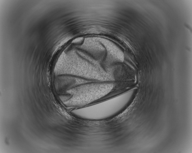 X0000096481018200802211209
