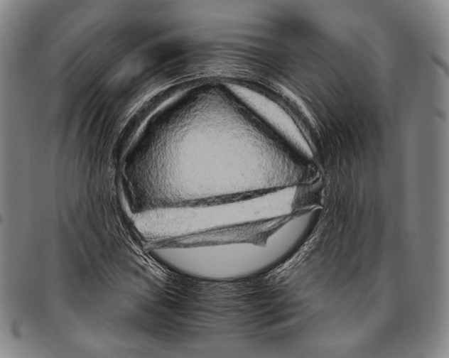 X0000096481019200802211209