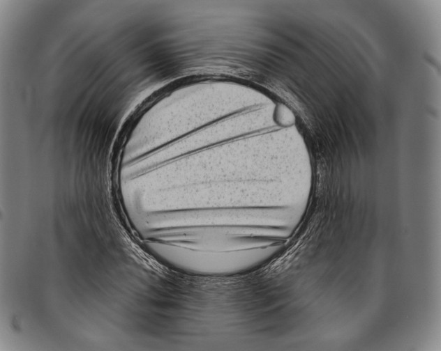X0000096481020200802211209