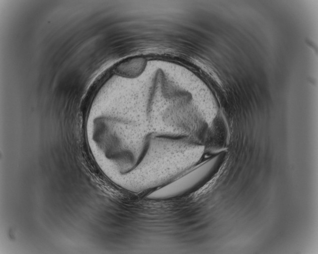X0000096481021200802211209