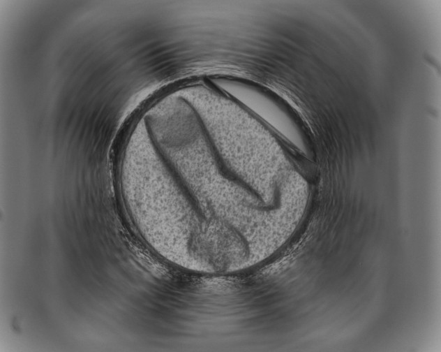 X0000096481022200802211209