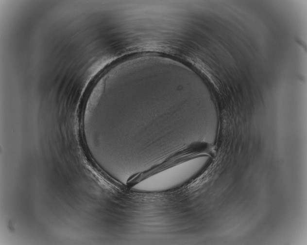 X0000096481024200802211209