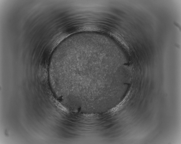 X0000096481025200802211209