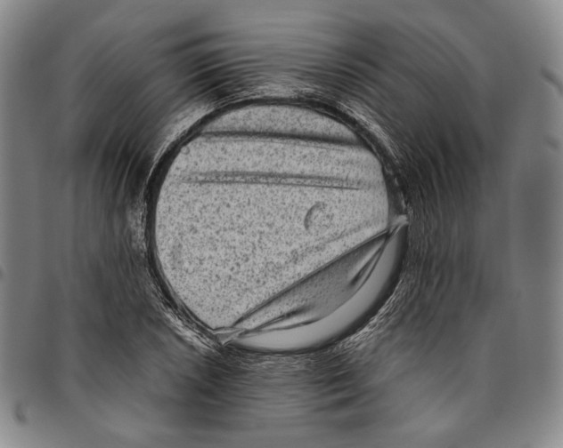 X0000096481026200802211209