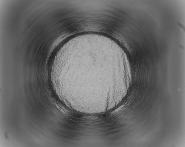 X0000096481027200802211209