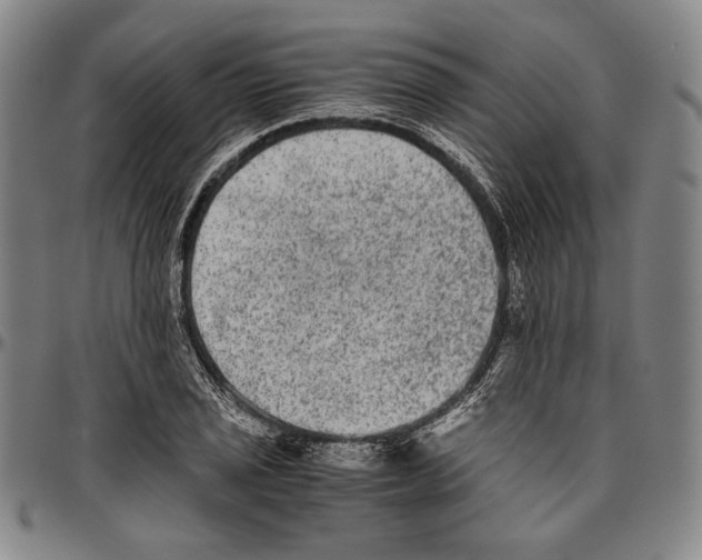 X0000096481029200802211209