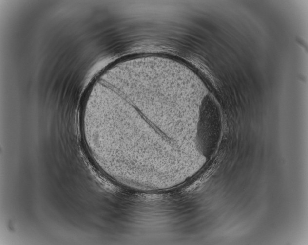X0000096481030200802211209