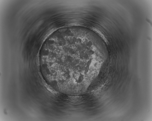 X0000096481031200802211209