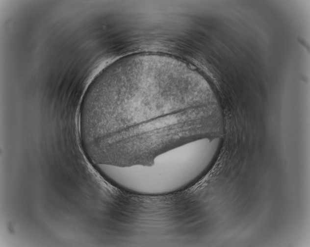 X0000096481032200802211209
